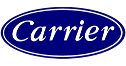 Career